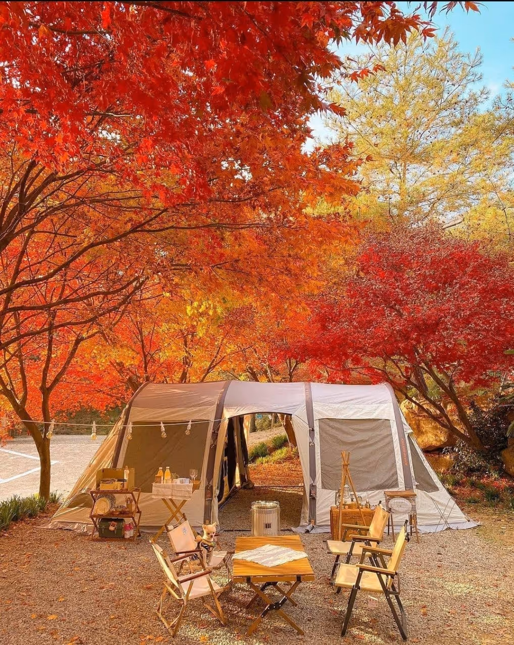 Seomji Camping Ground