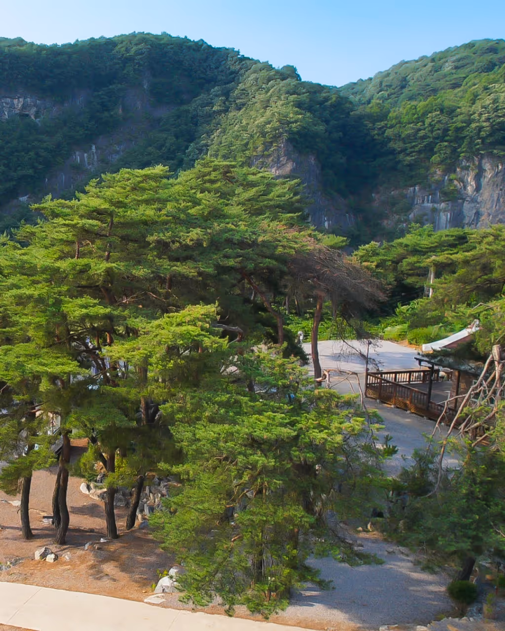 영월한반도캠핑장
