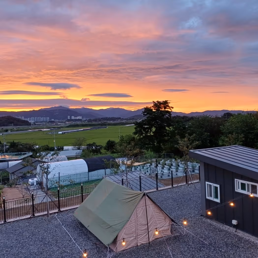 Book a camping castle.