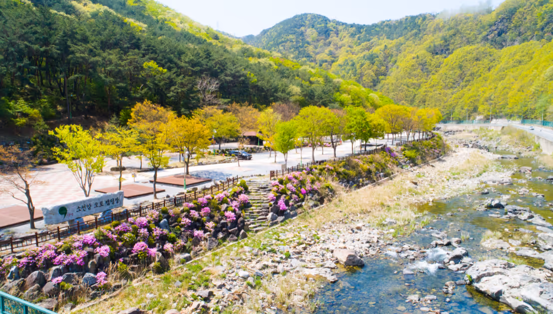 Book an Oto Camping Room of Soyong Cancer