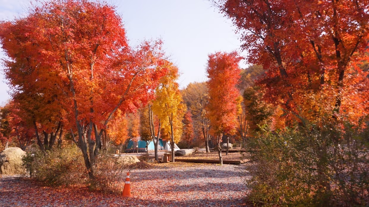 A reservation for a mountain paradise camp.