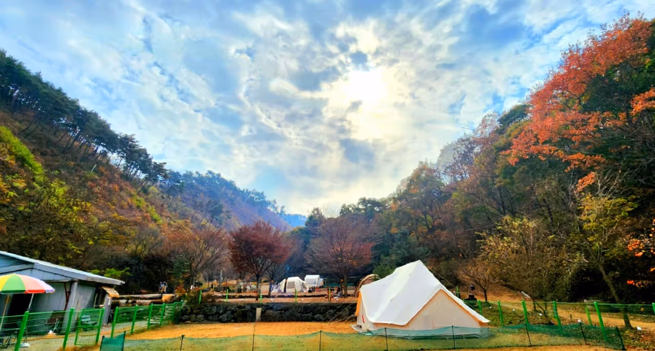 Book a firefly Camp.