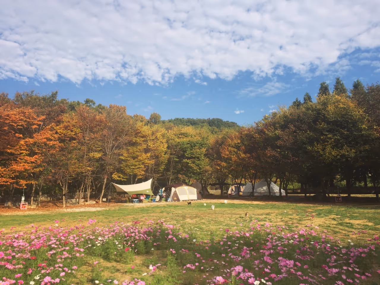 라포레캠핑장
