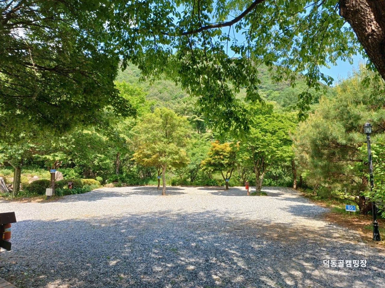 I want you to book an Oto Camping Room.
