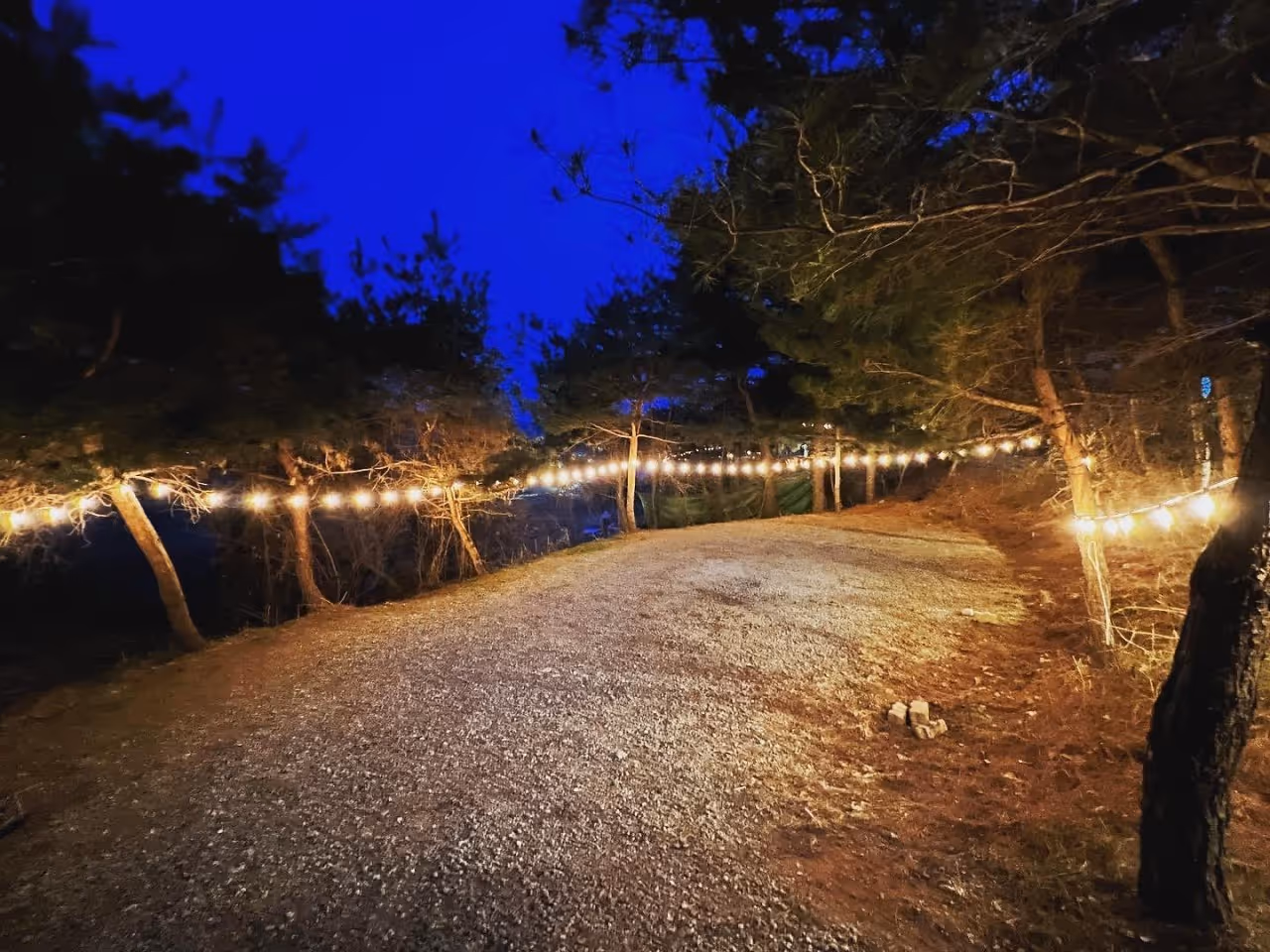 Book a Sunni Hills camp.