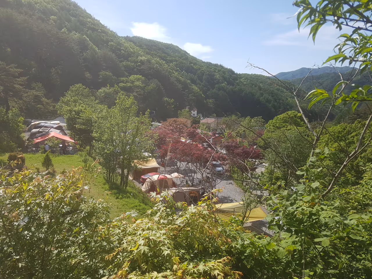 Schedule the main store of campgrounds.