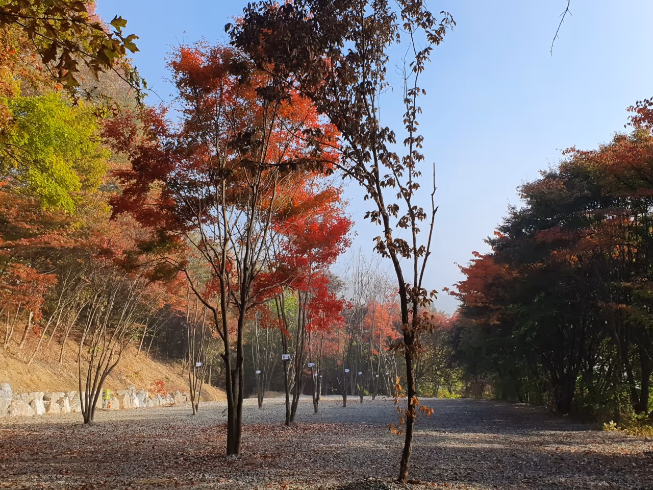 달빛캠핑장