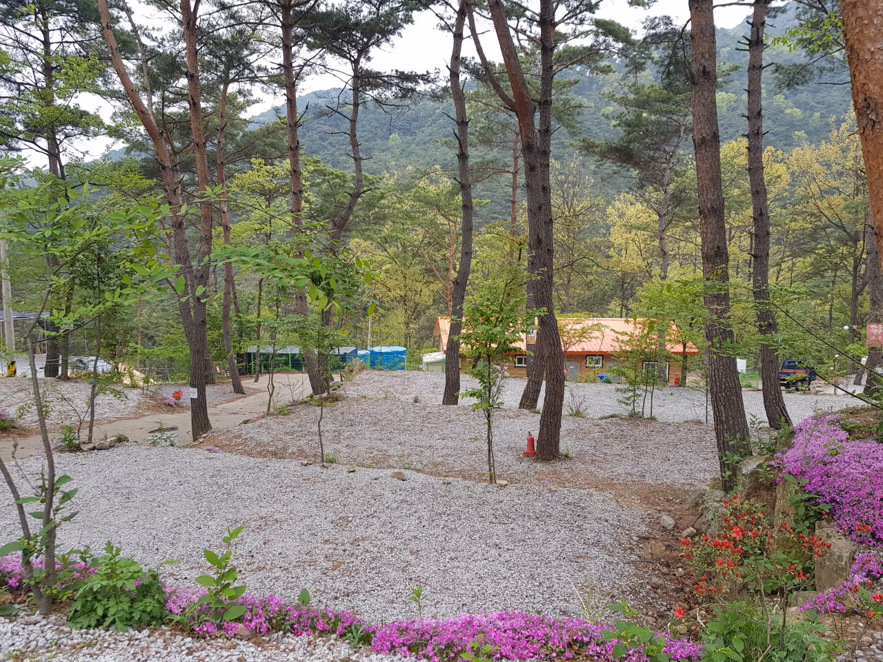 A reservation for the Marisol Camping Center of the Dure Touric Garden.