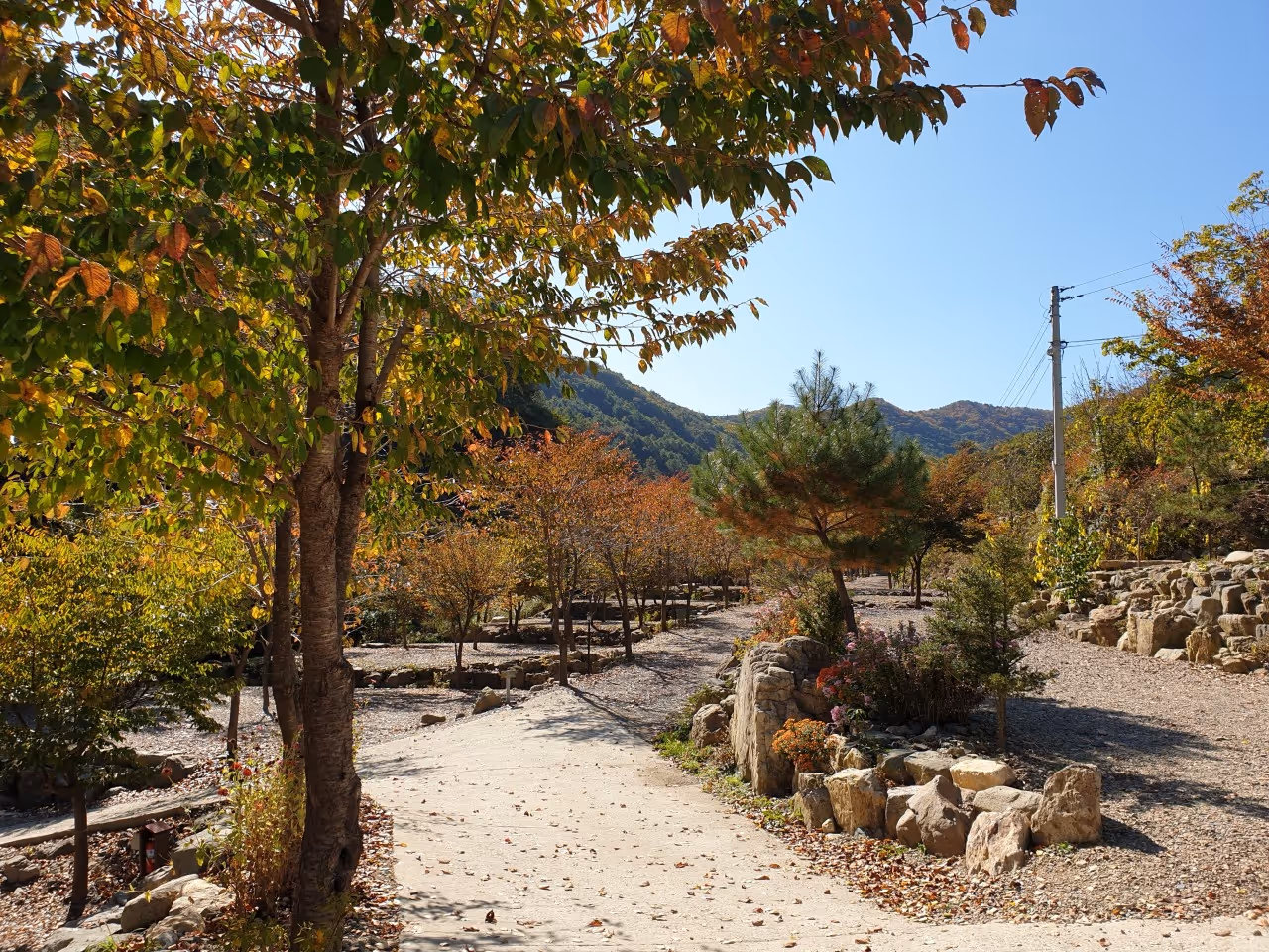 A reservation for the Old Bellioto Camping Center.