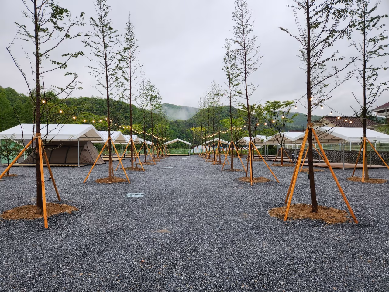 Book an indoor mint & campground