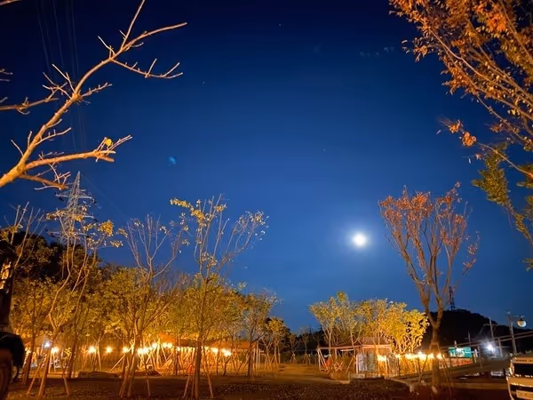 Schedule countless camping grounds