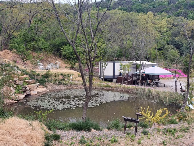 Book an Arboria Camping Room
