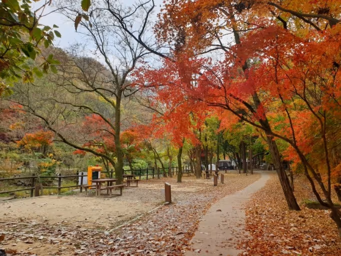 Book the Inner Mountain National Park.