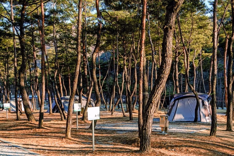 Have a reservation for the Lord Hooto camping grounds.