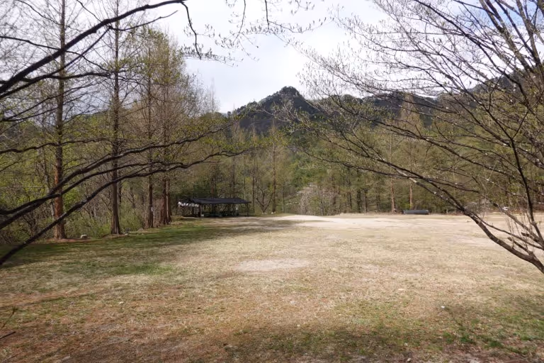 Reservation of the National Forest Reservation Camp.