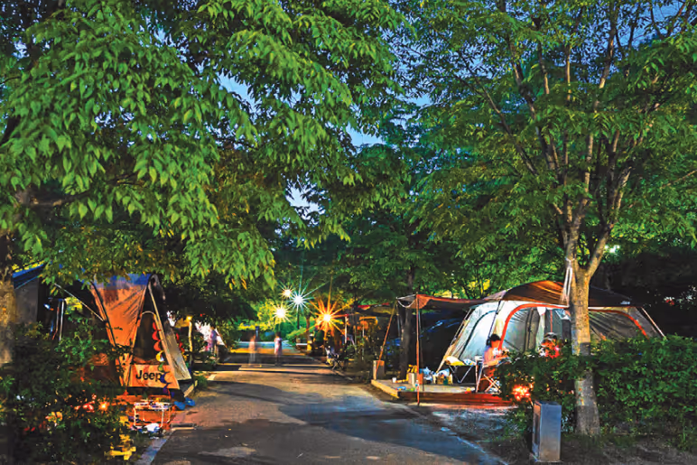 Schedule a central and camping forest.