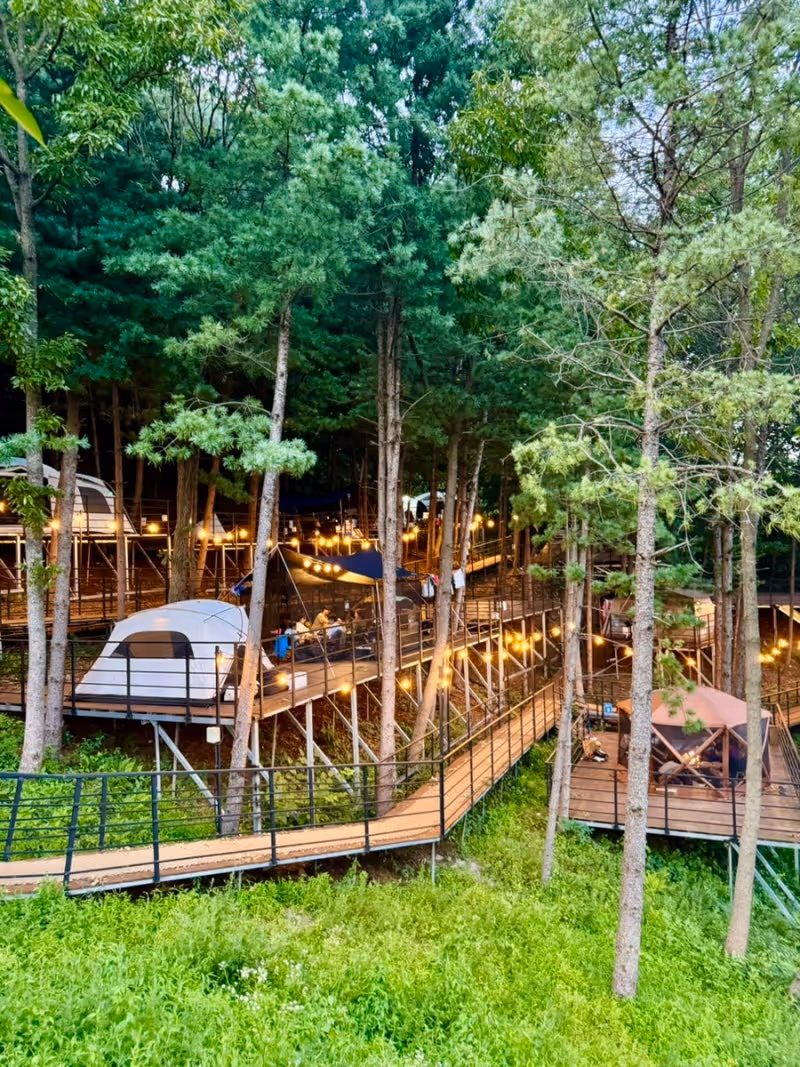 Book a Blue Gate Camp