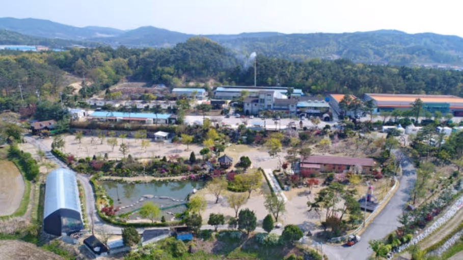 I'm going to have to book a camping place in the middle of a charcoal village.