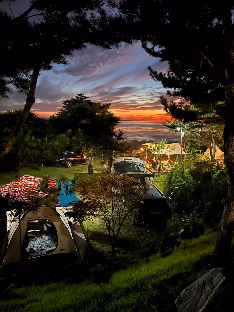 I want you to book a camping camp at the Goldy Tourist Farm.