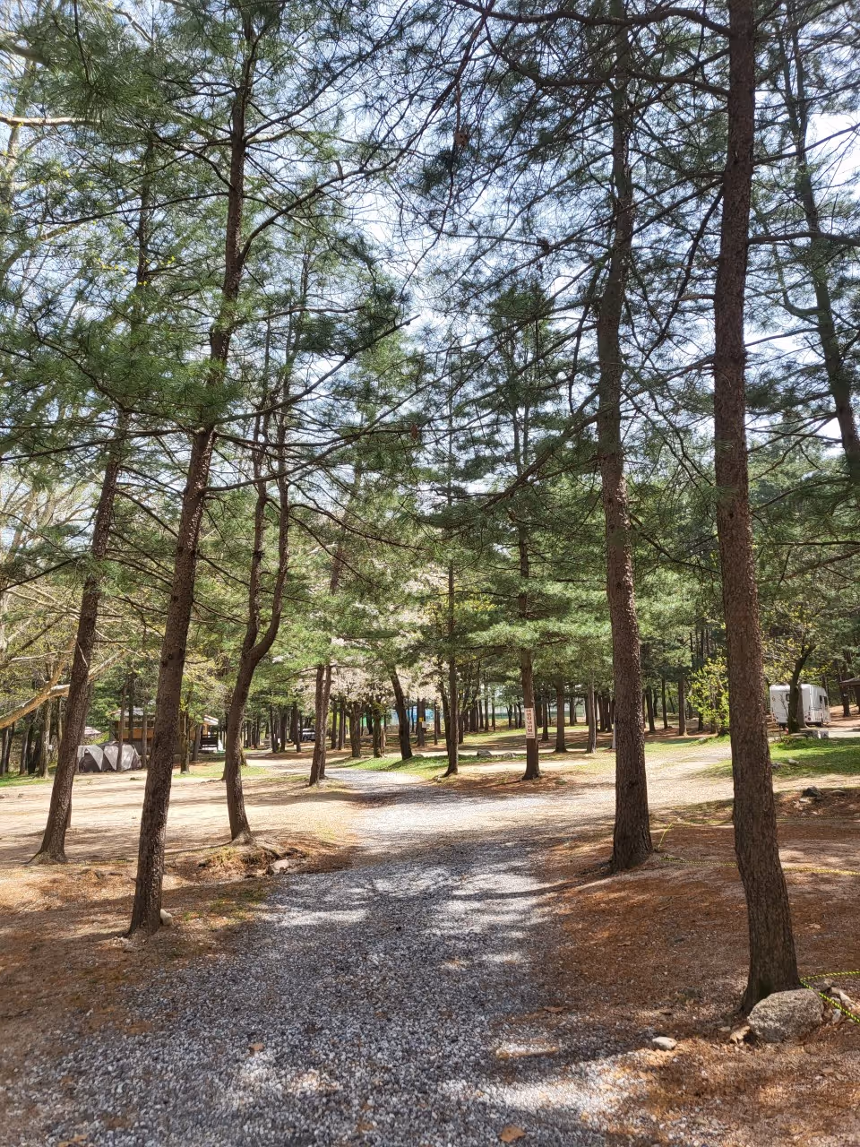 속리산 사내리 캠핑장