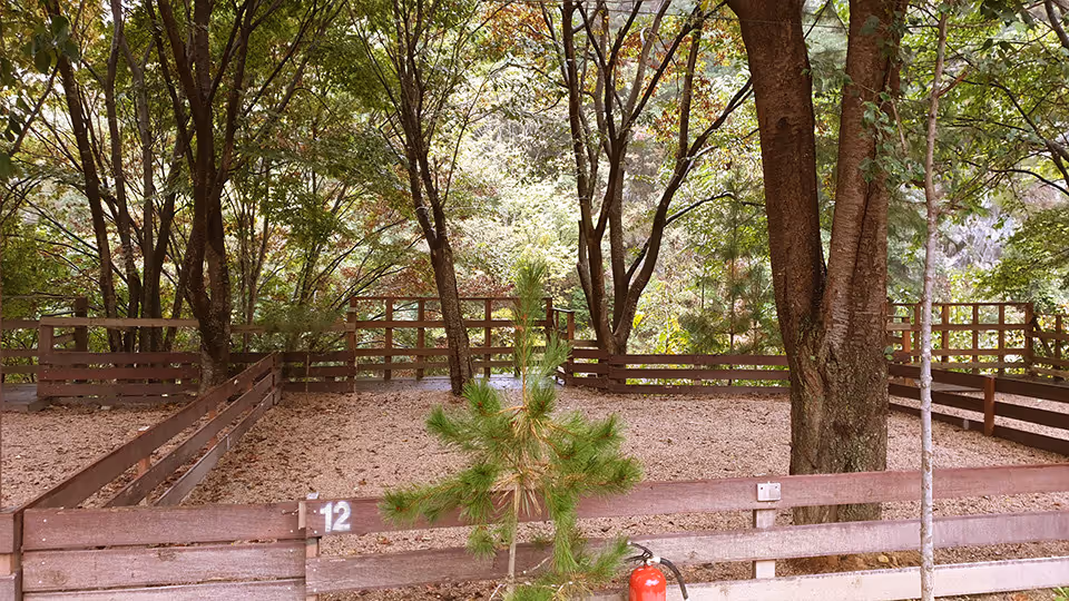 Schedule Bandyhouse Camping Center